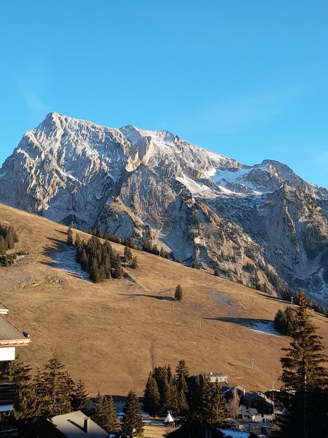 Appartement Au Coeur Des Aravis Manigod Extérieur photo