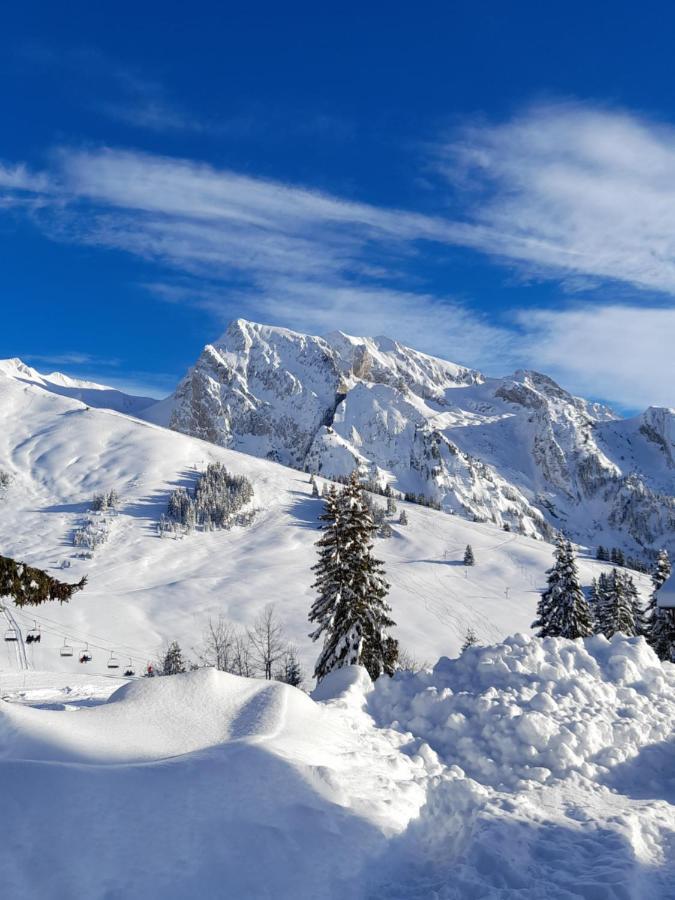 Appartement Au Coeur Des Aravis Manigod Extérieur photo